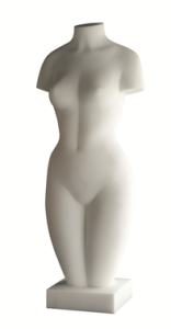 venus 1